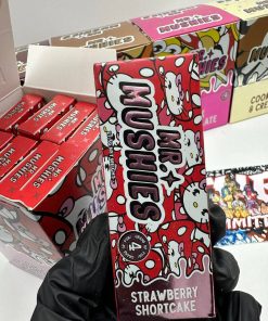 MR. MUSHIES 4G CHOCOLATE BAR