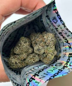 Rolex Presidential Flower by BackPackBoyz