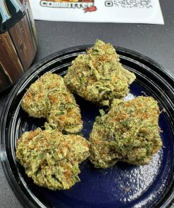 TRAP SHACK 7G PREMIUM CANNABIS FLOWER