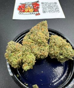 TRAP SHACK 7G PREMIUM CANNABIS FLOWER