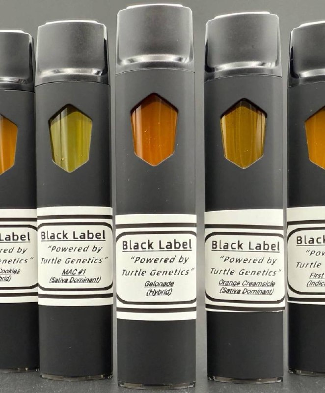 THE TURTLECART 2G DISPOSABLE THE TURTLECART 2G DISPOSABLE