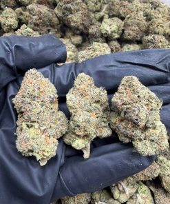 CANDY FUMEZ STRAIN 3.5GRAM THC FLOWER