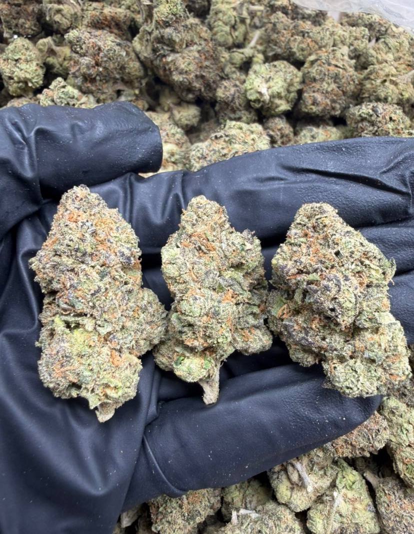 CANDY FUMEZ STRAIN 3.5GRAM THC FLOWER CANDY FUMEZ STRAIN 3.5GRAM THC FLOWER