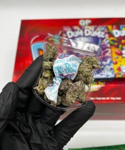 DUM DUMZ WEED BY SNOOZE