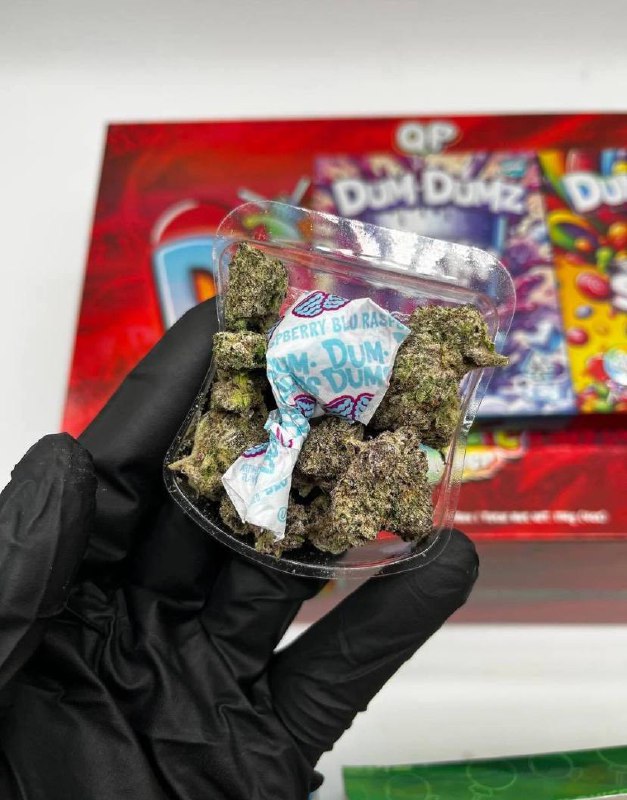 DUM DUMZ WEED BY SNOOZE DUM DUMZ WEED BY SNOOZE