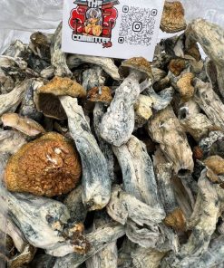 MAKILLA GORILLA MUSHROOM