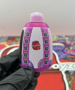 BACKPACK BOYZ 2G DISPOSABLE